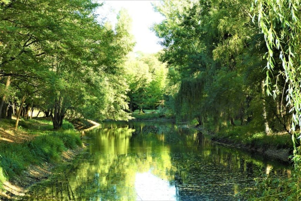 Photo of Others in Puisaye-Forterre