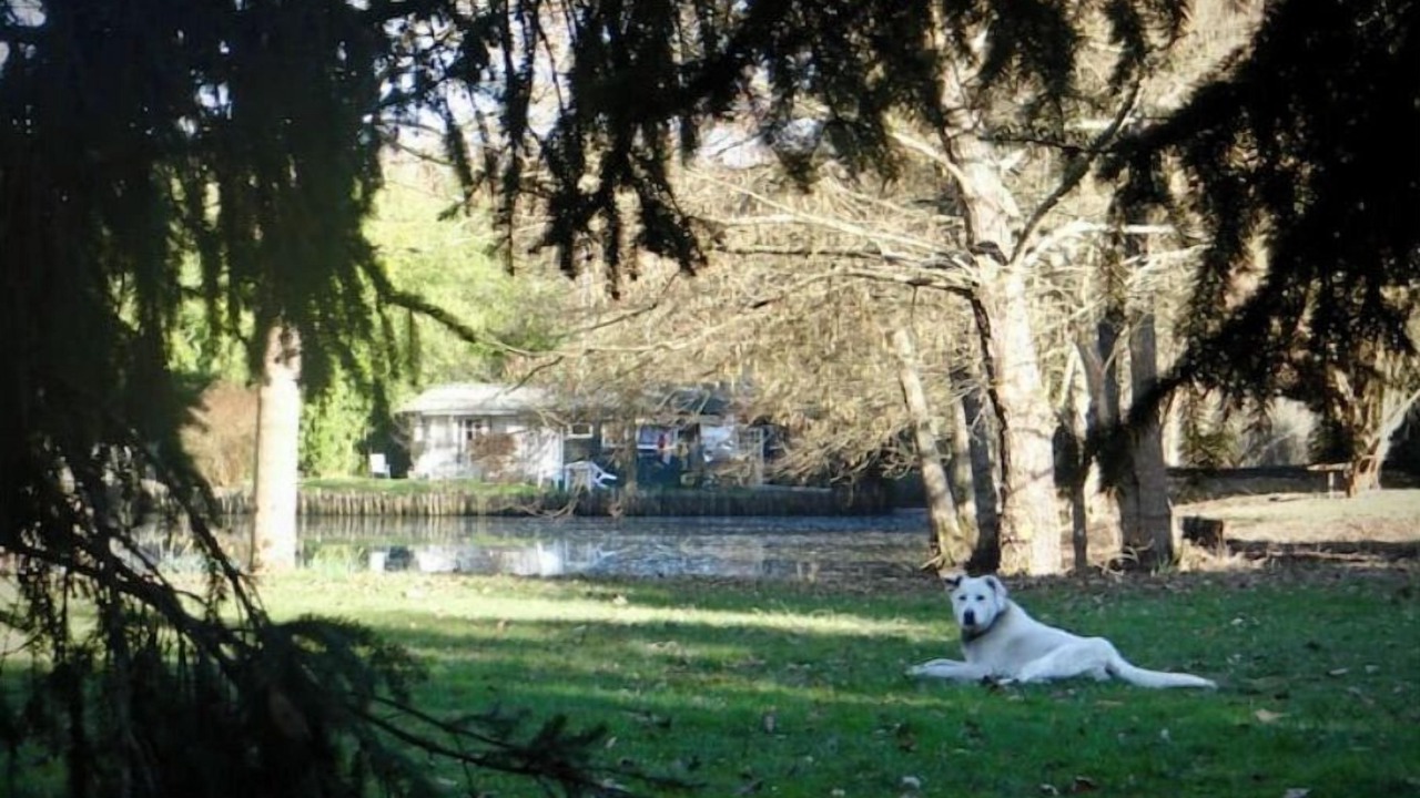 Photo of Outdoor in Puisaye-Forterre