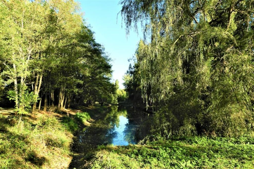 Photo of Outdoor in Puisaye-Forterre