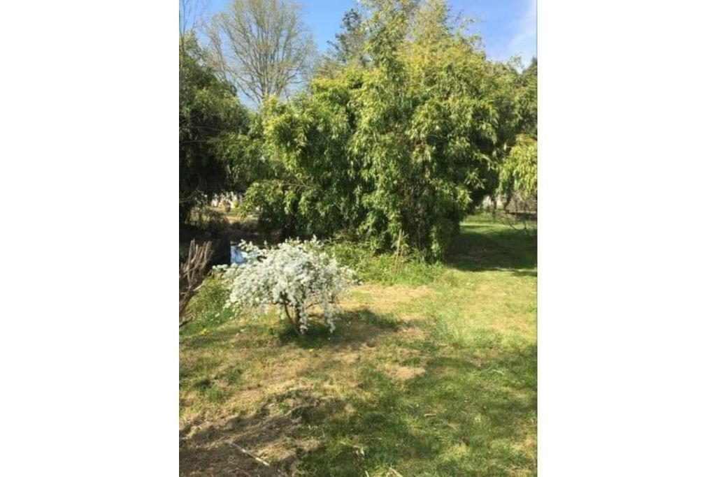 Photo of Outdoor in Puisaye-Forterre