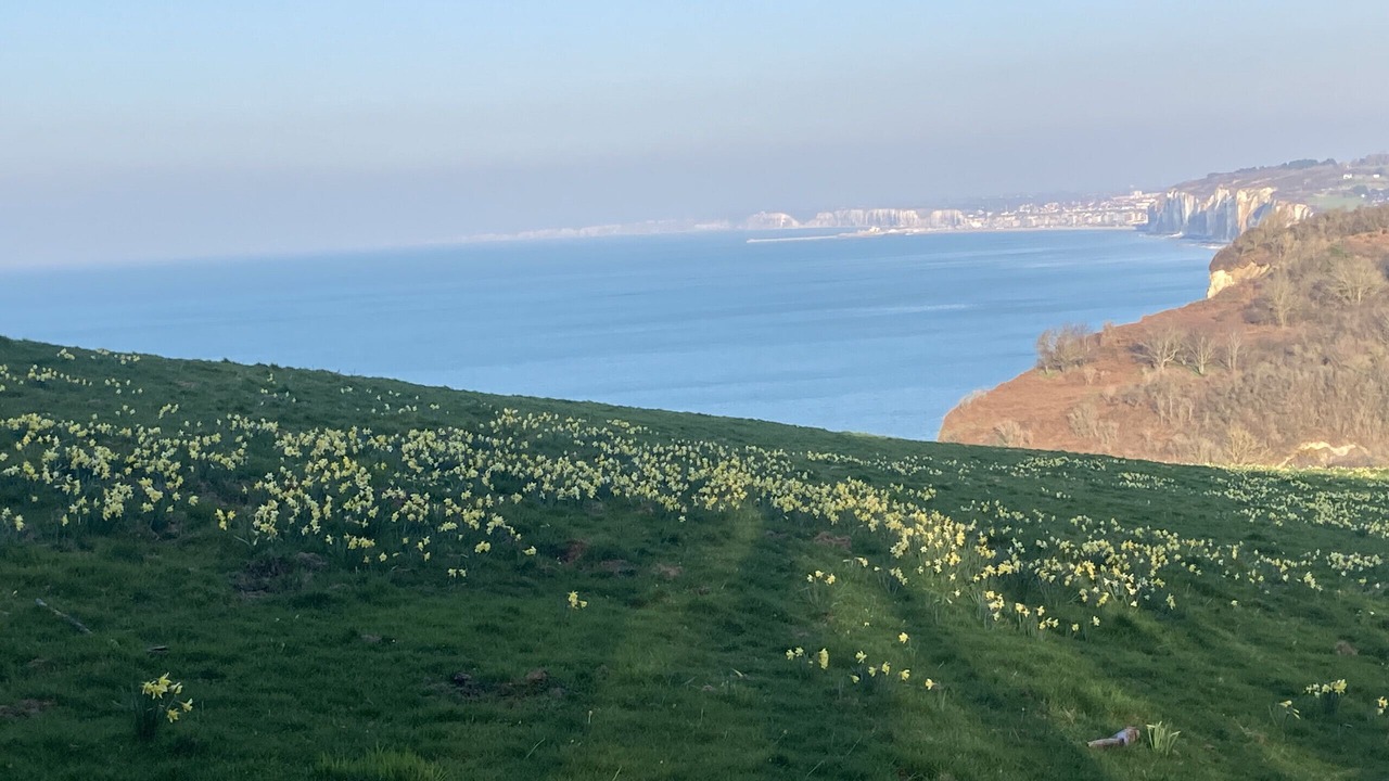 Photo of Others in Varengeville-sur-Mer