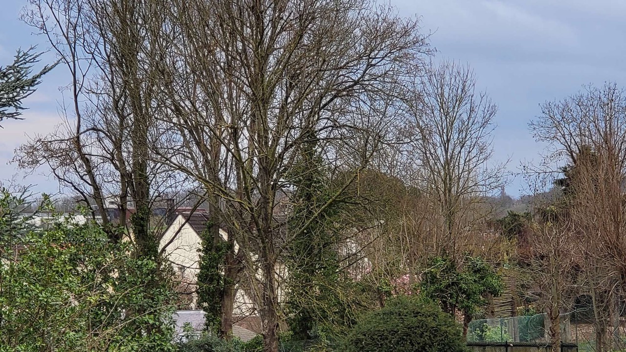 Photo of Outdoor in Saint-Brice-sous-Foret
