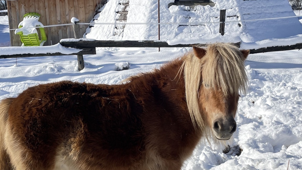 Photo of Others in Plenisette