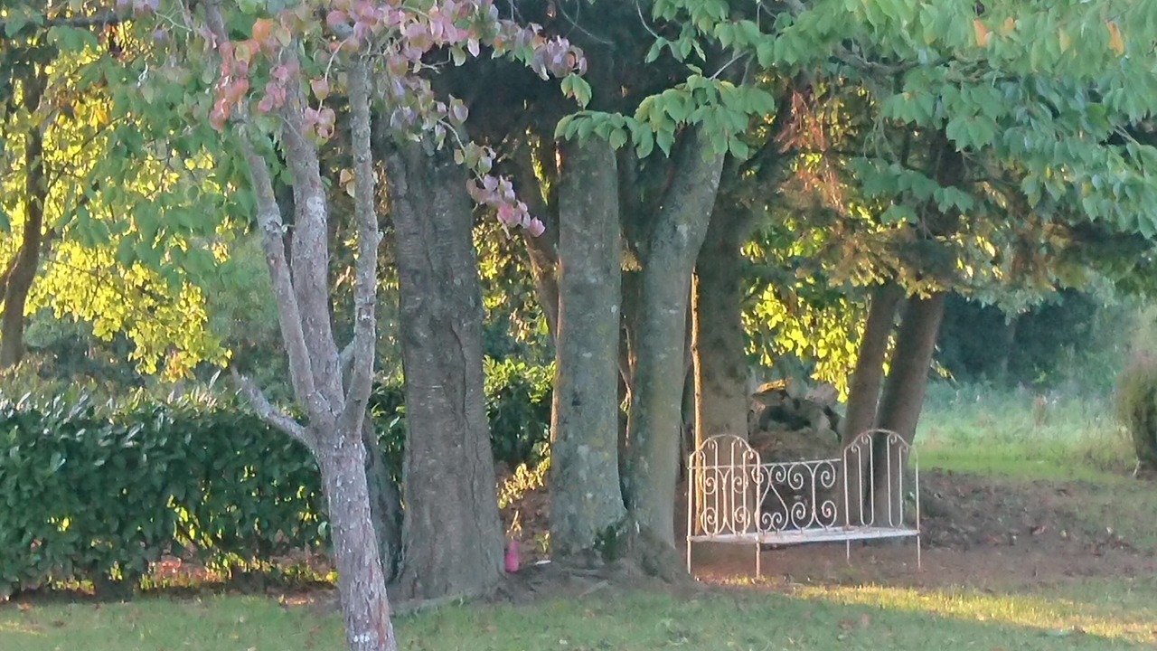 Photo of Outdoor in Bouillancourt-en-Sery