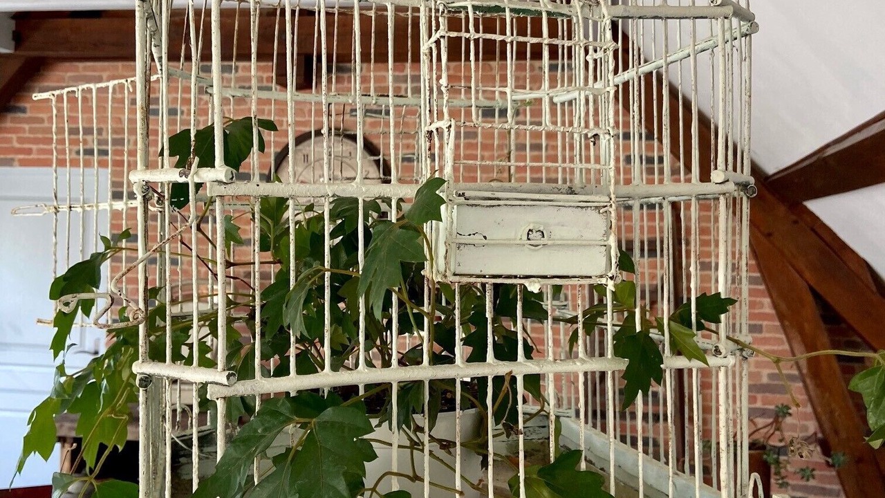 Photo of Others in Cour-Cheverny