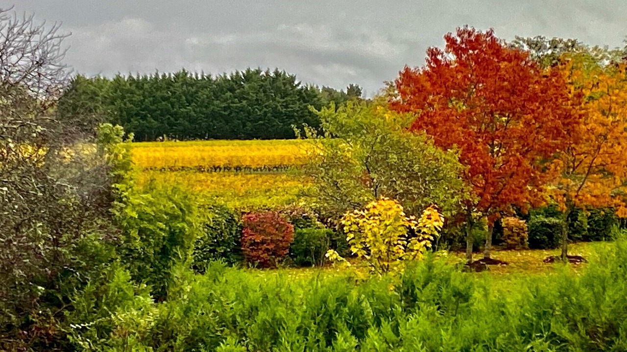Photo of Outdoor in Cour-Cheverny