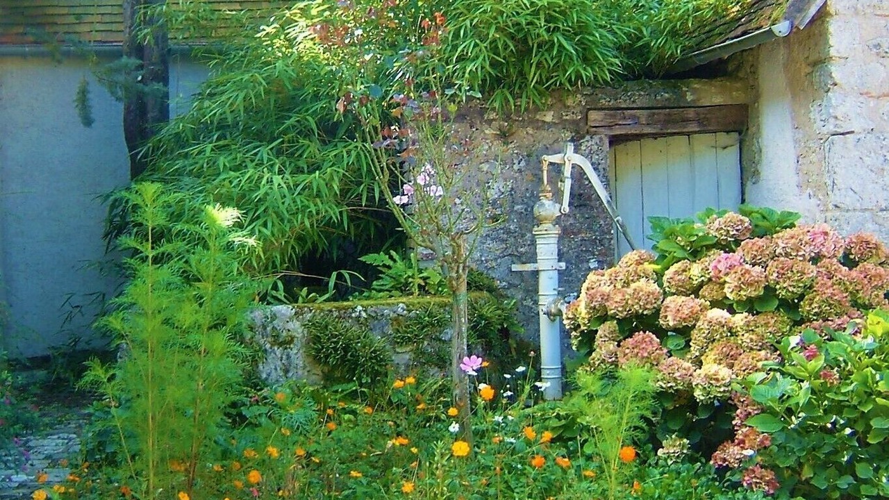 Photo of Outdoor in Cour-Cheverny