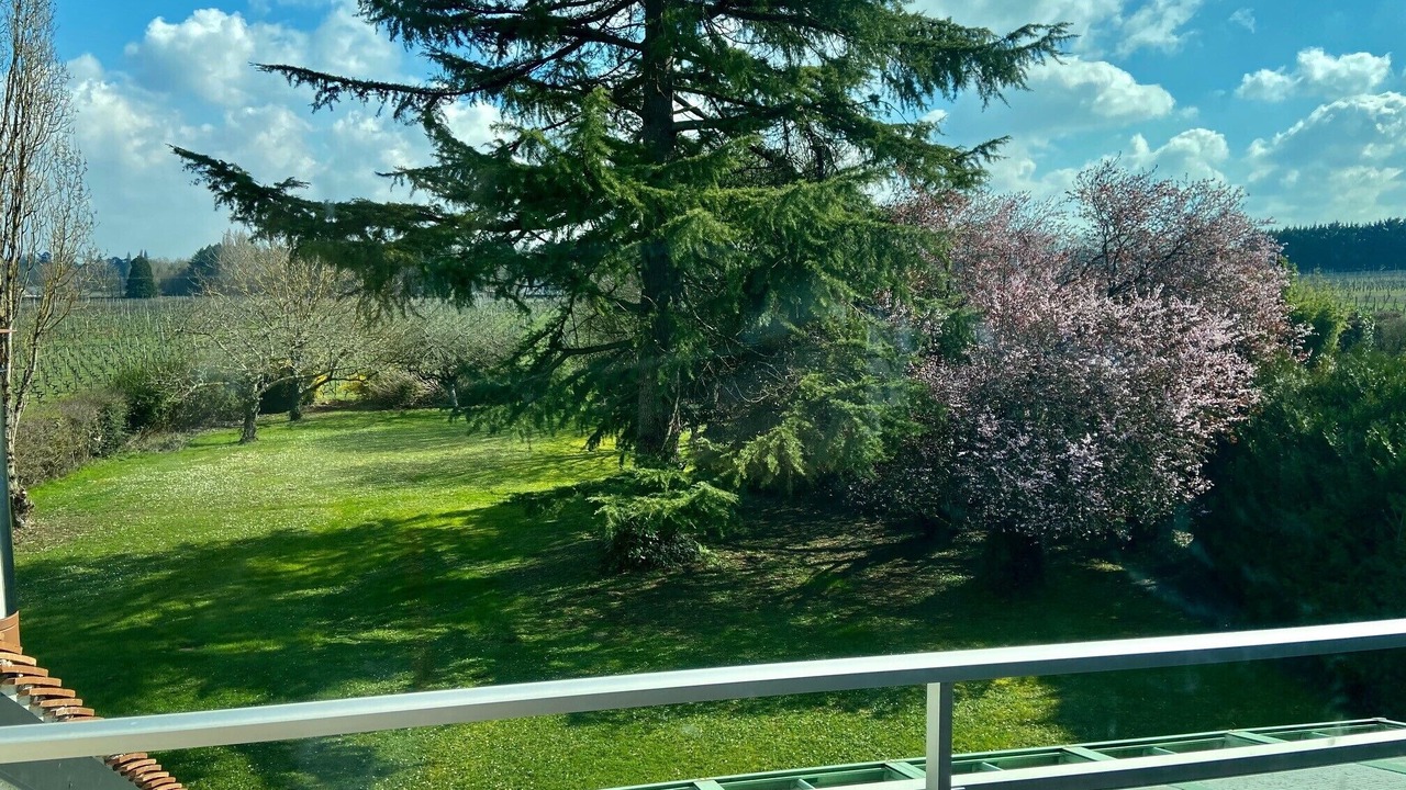 Photo of Outdoor in Cour-Cheverny