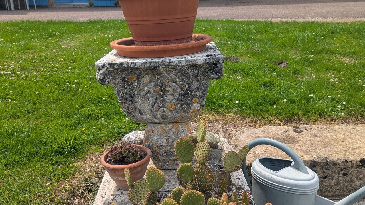 Photo of Outdoor in Langres