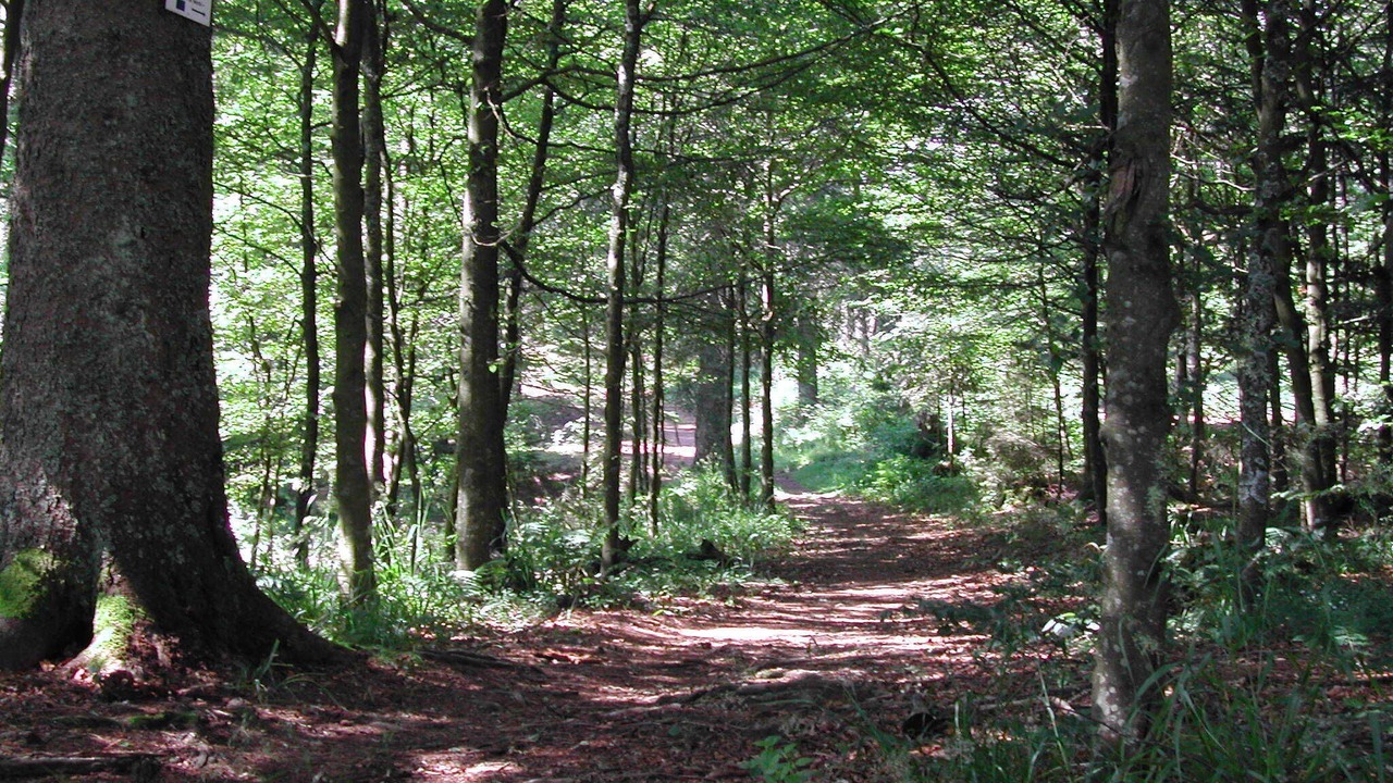 Photo of Outdoor in Sainte-Marie-aux-Mines