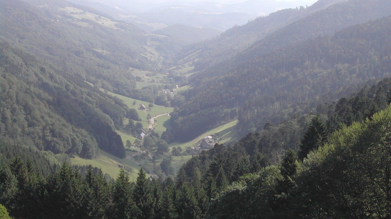 Photo of Others in Sainte-Marie-aux-Mines