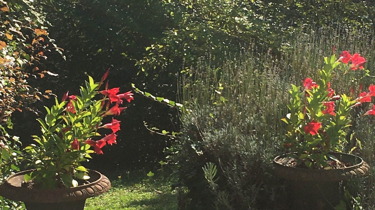 Photo of Outdoor in Coucy-le-Chateau-Auffrique