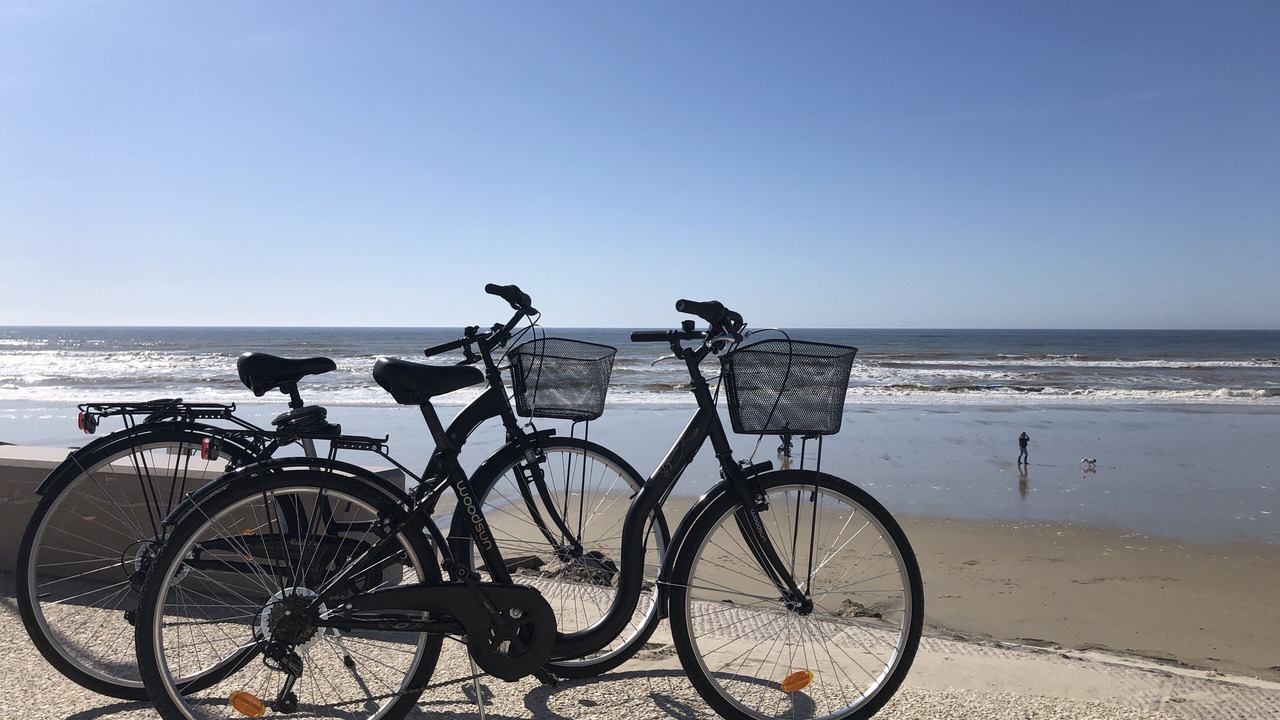 Photo of Others in Hardelot-Plage