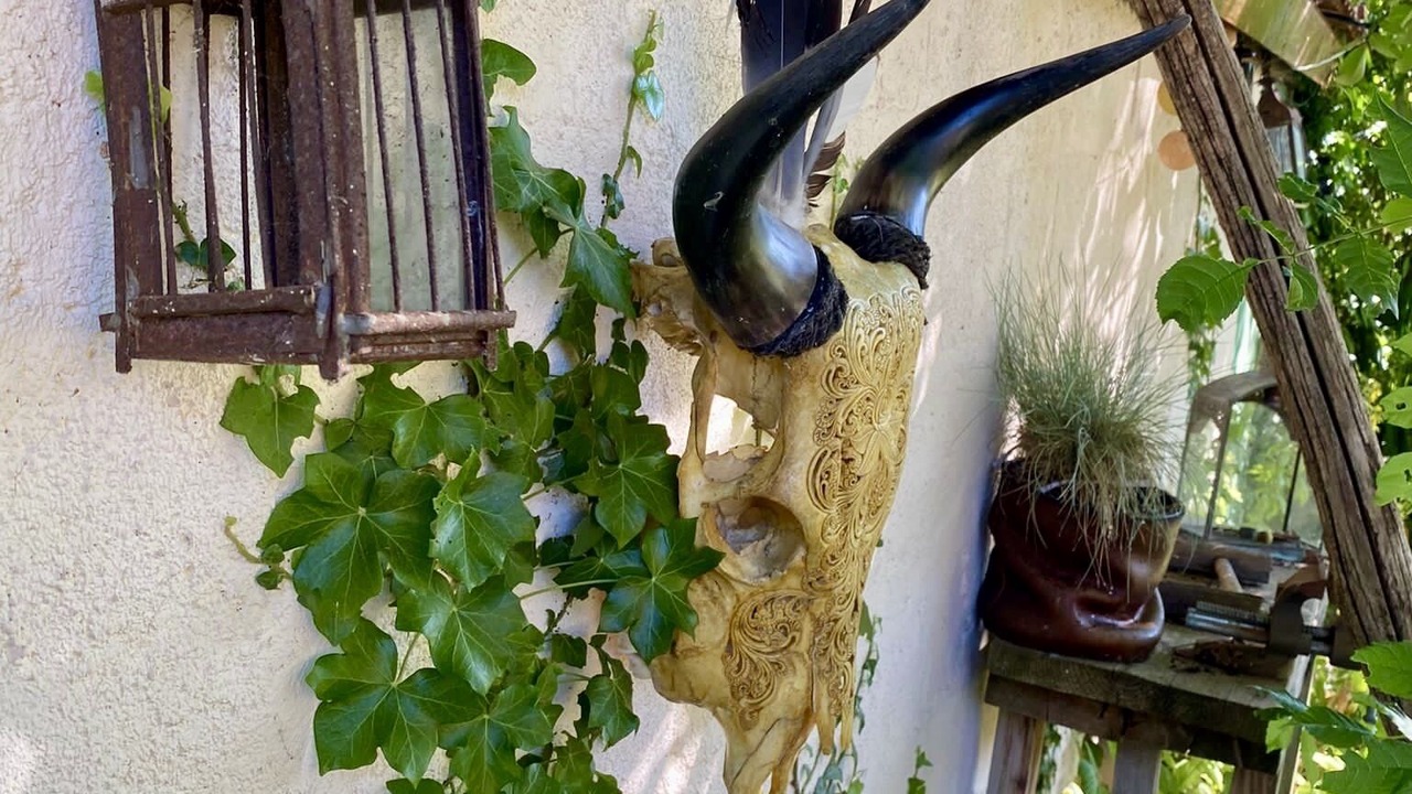 Photo of Outdoor in Hanches