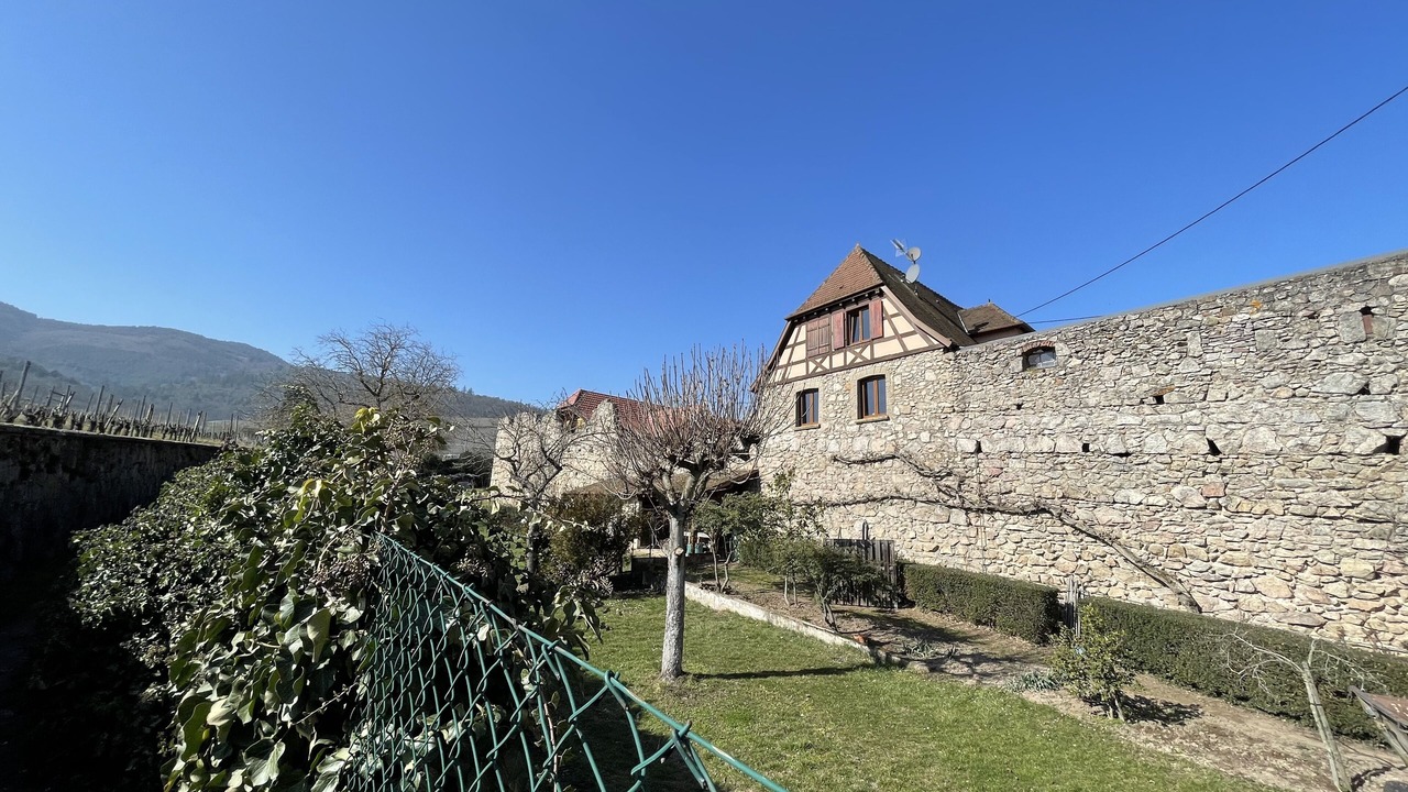 Photo of Outdoor in Dambach-la-Ville