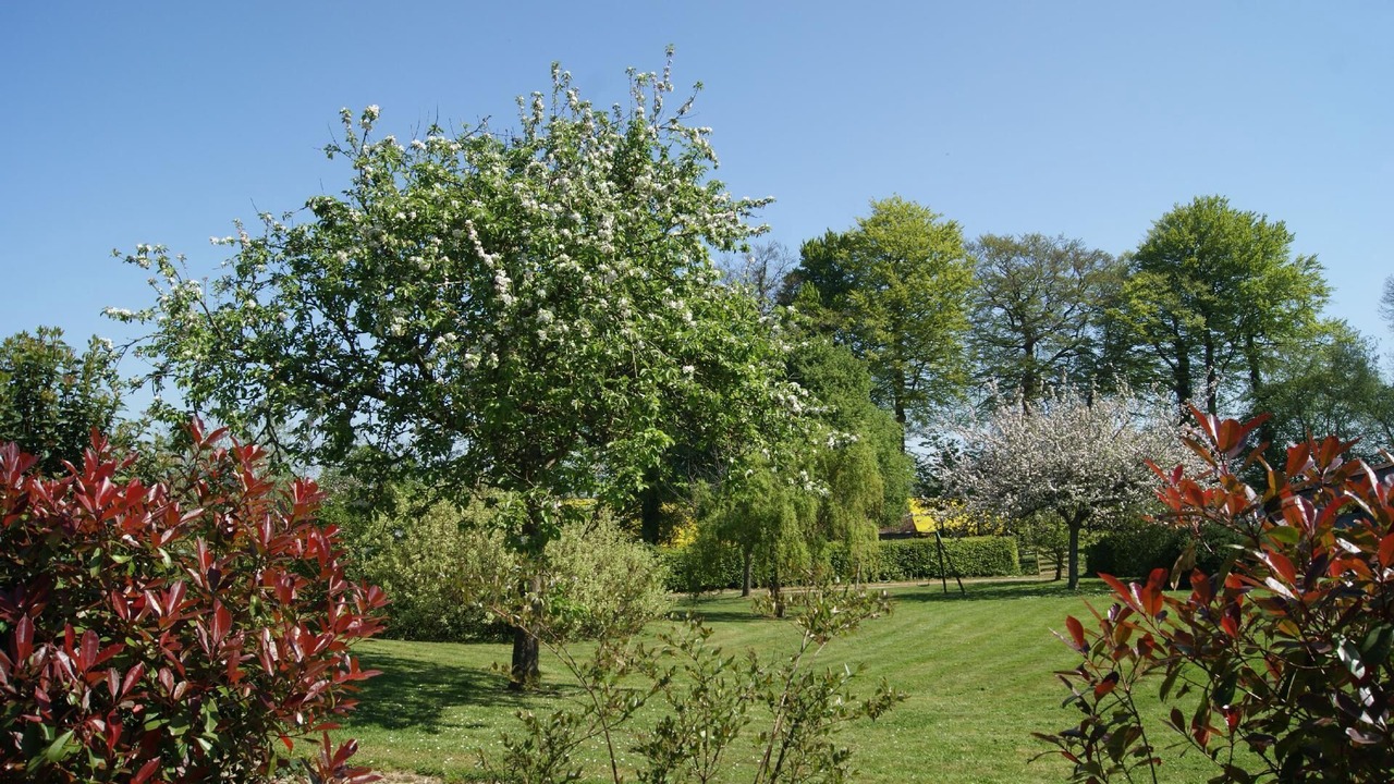 Photo of Outdoor in Bretteville-du-Grand Caux