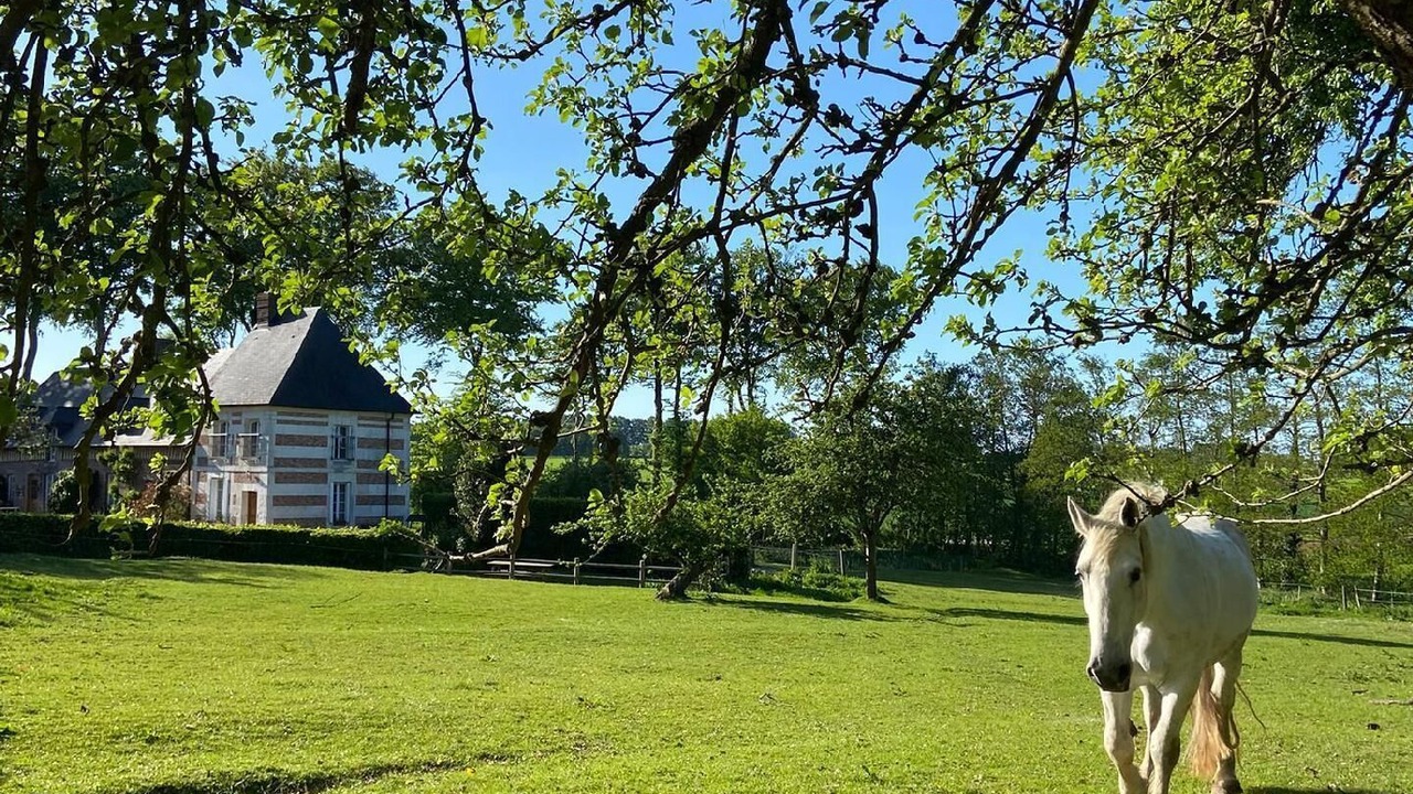 Photo of Outdoor in Bretteville-du-Grand Caux