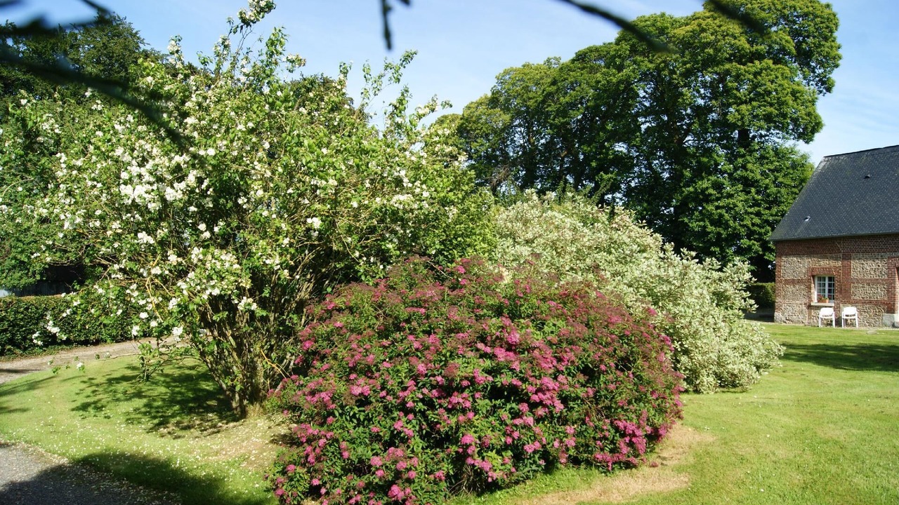 Photo of Outdoor in Bretteville-du-Grand Caux