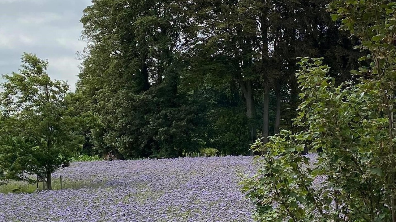 Photo of Others in Bretteville-du-Grand Caux