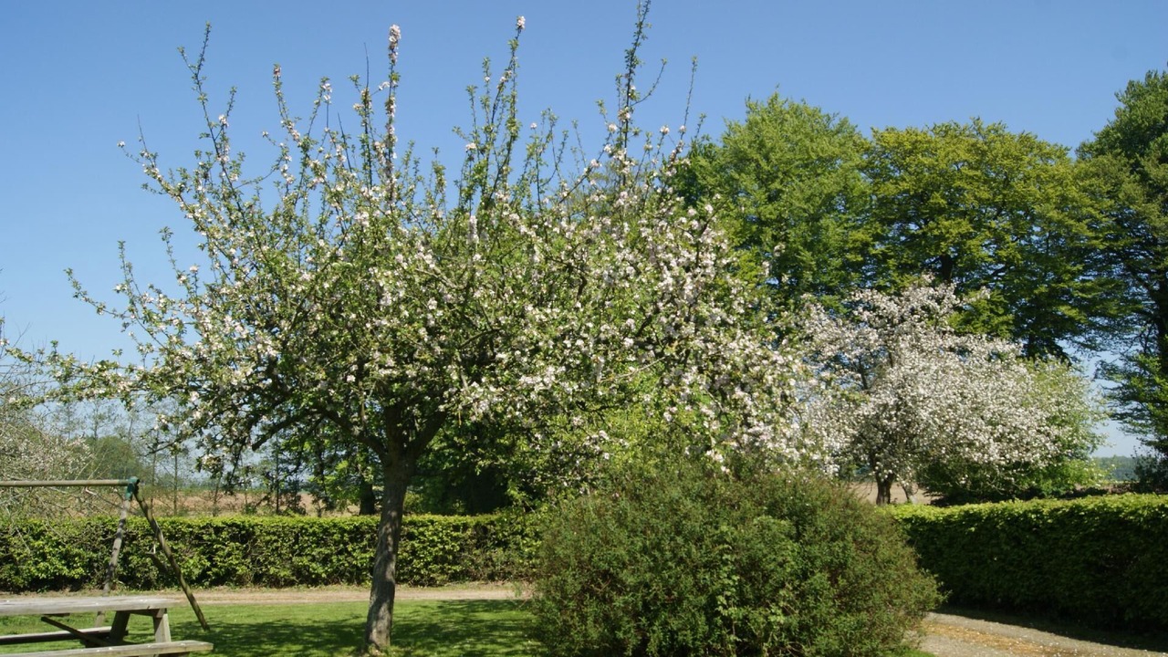 Photo of Others in Bretteville-du-Grand Caux