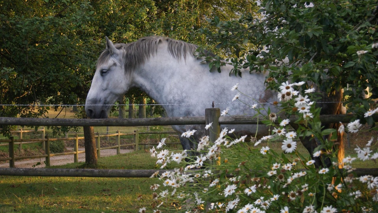 Photo of Others in Bretteville-du-Grand Caux