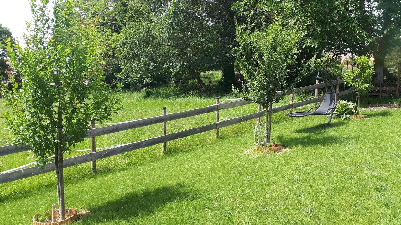 Photo of Outdoor in Berstett