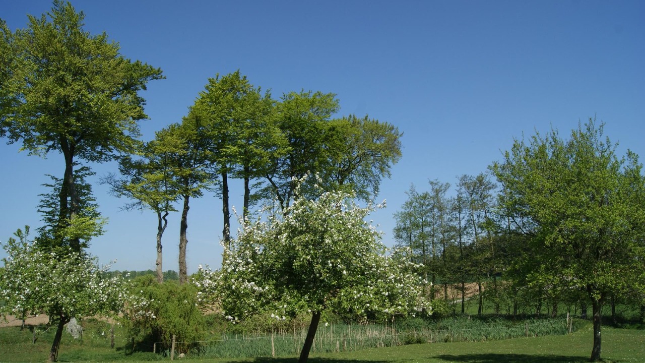 Photo of Others in Bretteville-du-Grand Caux