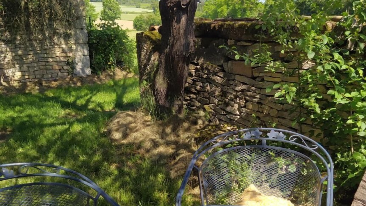 Photo of Outdoor in Chapaize