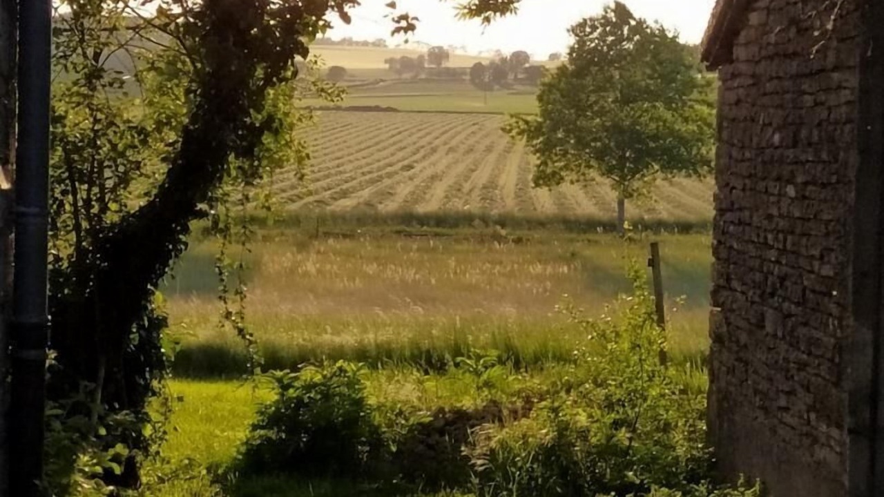 Photo of Outdoor in Chapaize