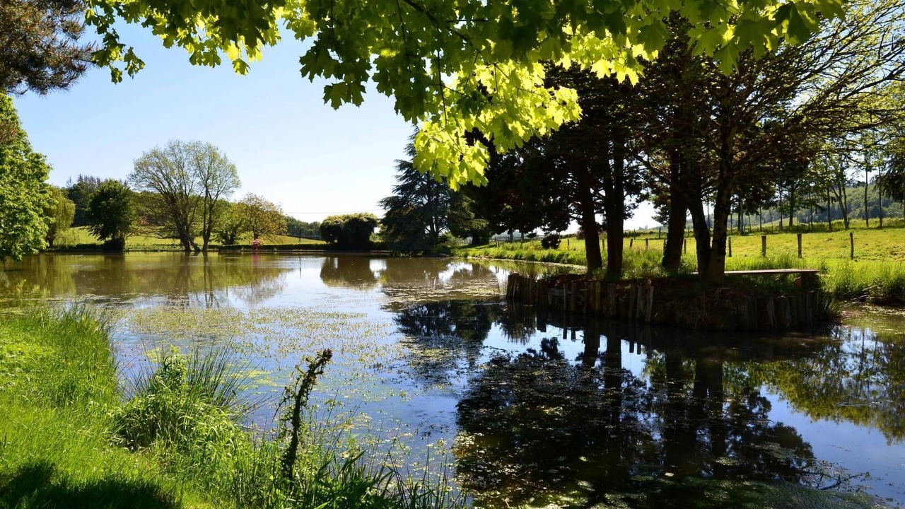 Photo of Outdoor in Saint-Leger-sous-Beuvray