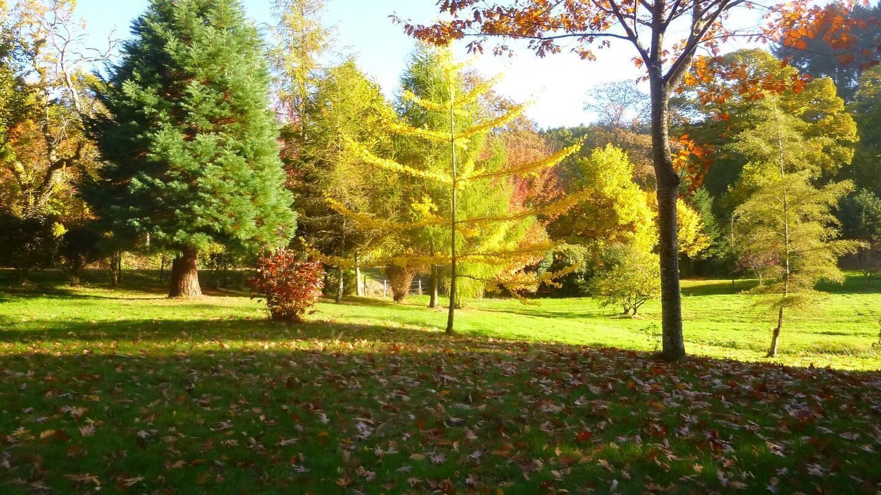 Photo of Outdoor in Saint-Leger-sous-Beuvray