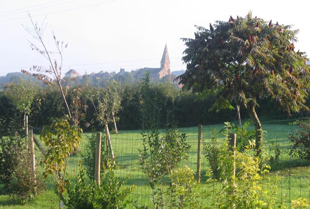 Photo of Outdoor in Etrigny