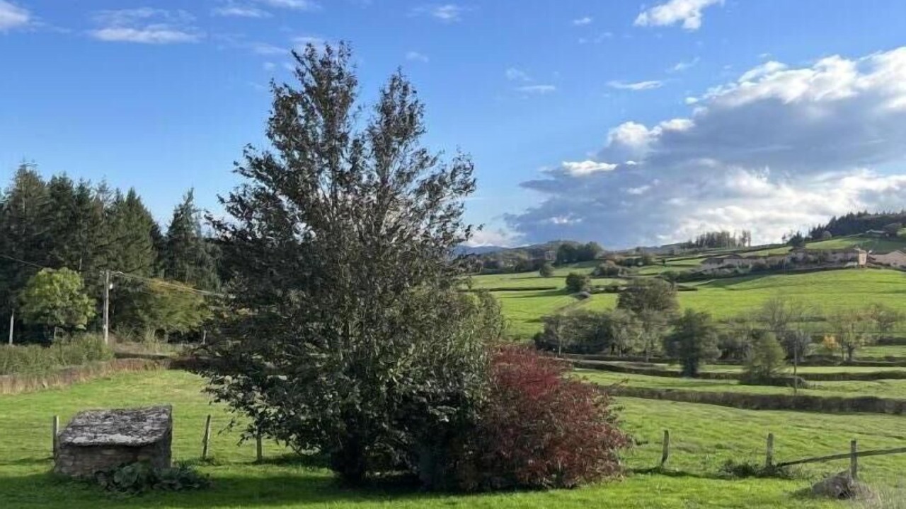 Photo of Others in Montagny-sur-Grosne