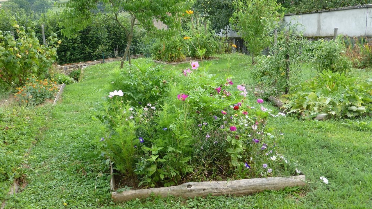 Photo of Outdoor in Chassigny-sous-Dun