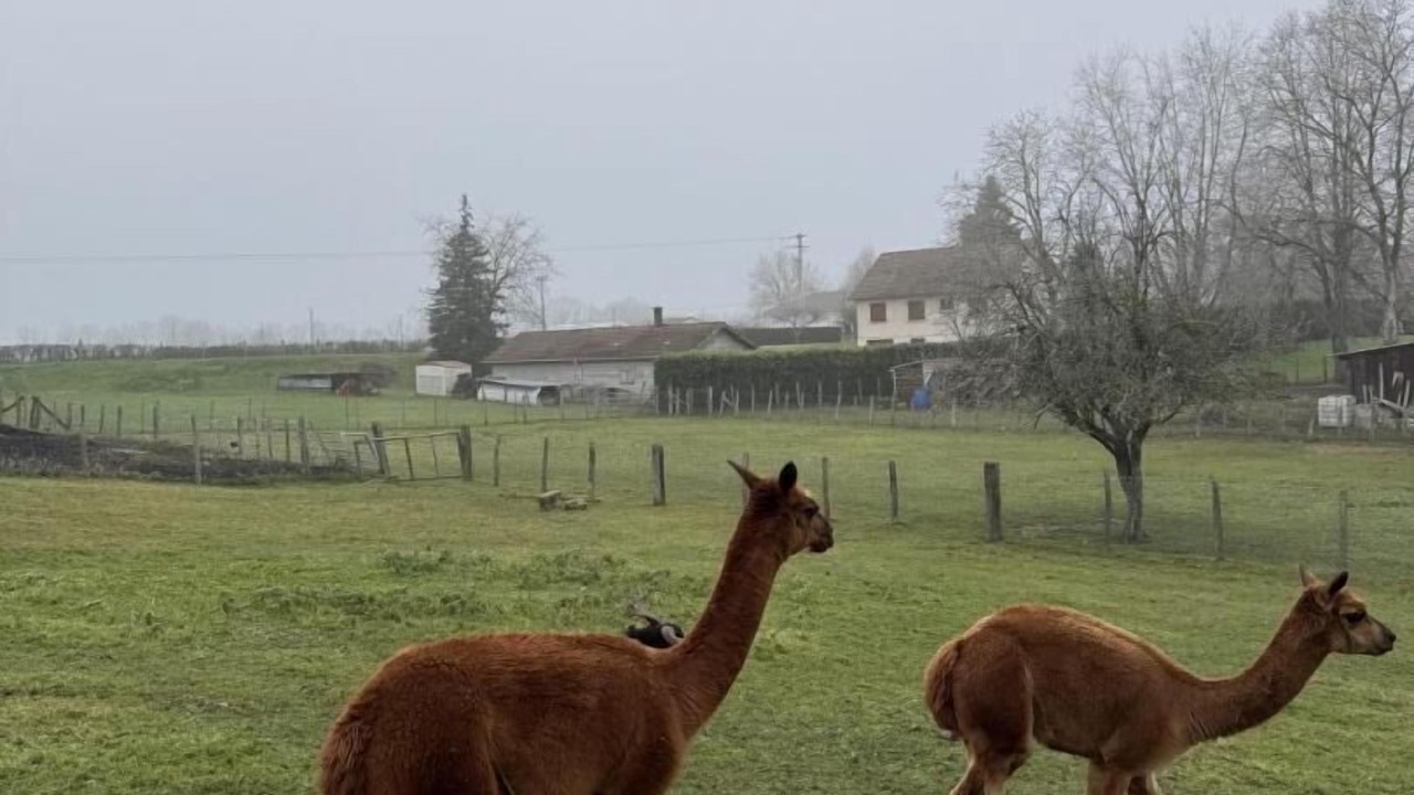 Photo of Others in Saint-Germain-du-Bois