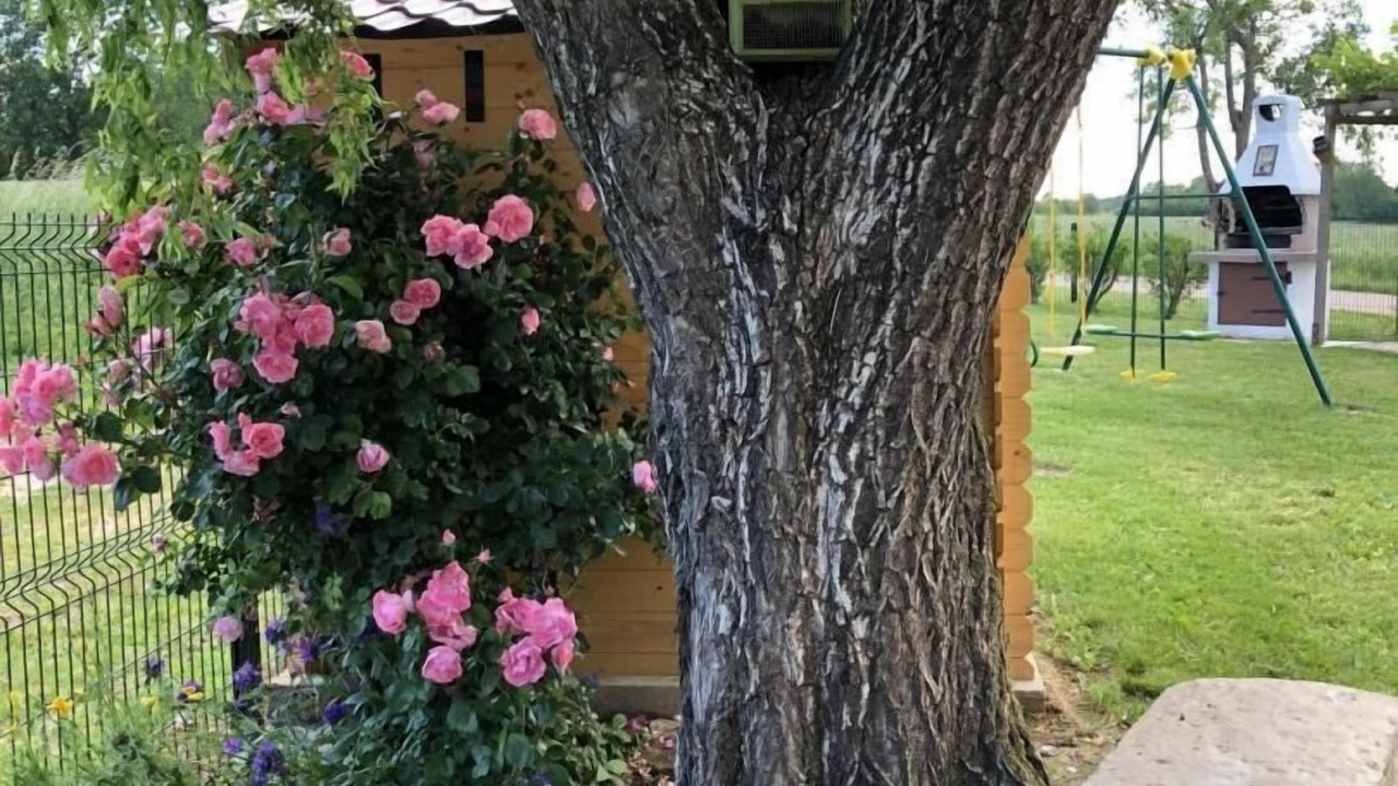 Photo of Outdoor in Saint-Germain-du-Plain
