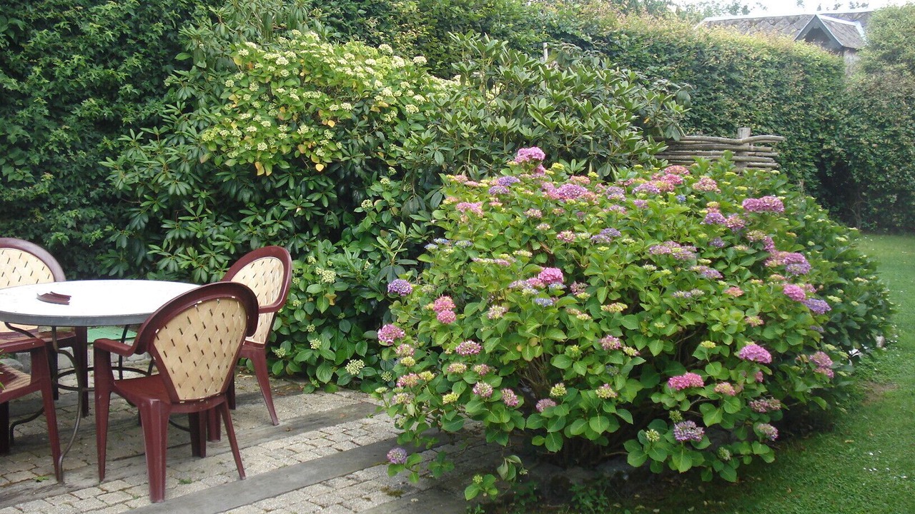Photo of Outdoor in Saint-Sylvestre-de-Cormeilles