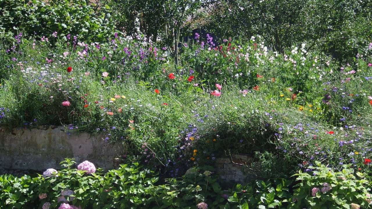 Photo of Outdoor in Crecy-en-Ponthieu