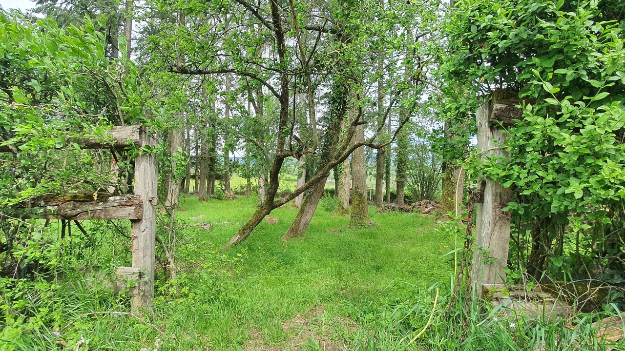 Photo of Outdoor in Onlay
