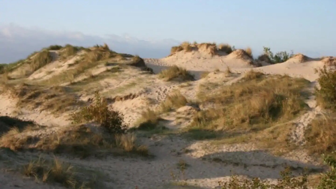 Photo of Others in Bray-Dunes