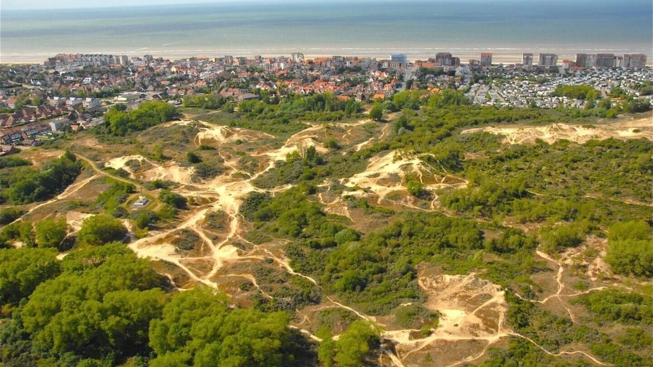 Photo of Outdoor in Bray-Dunes