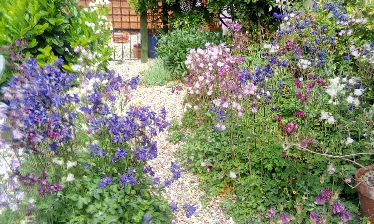 Photo of Outdoor in Douriez