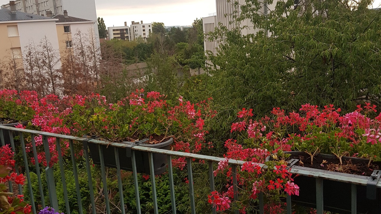 Photo of Outdoor in Nevers