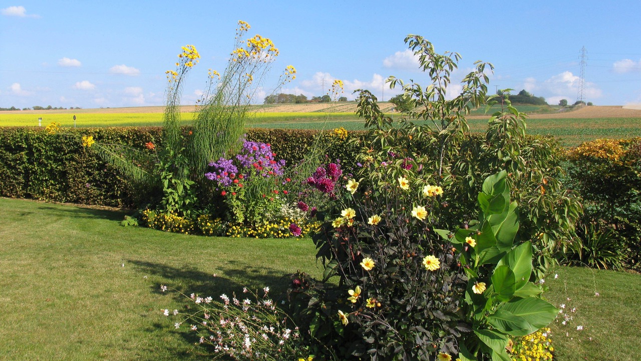 Photo of Outdoor in Chevannes