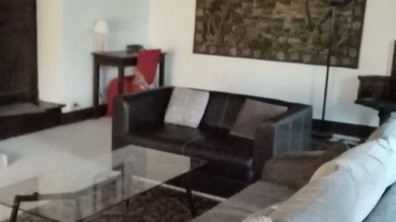 Photo of Livingroom in Downtown Angers