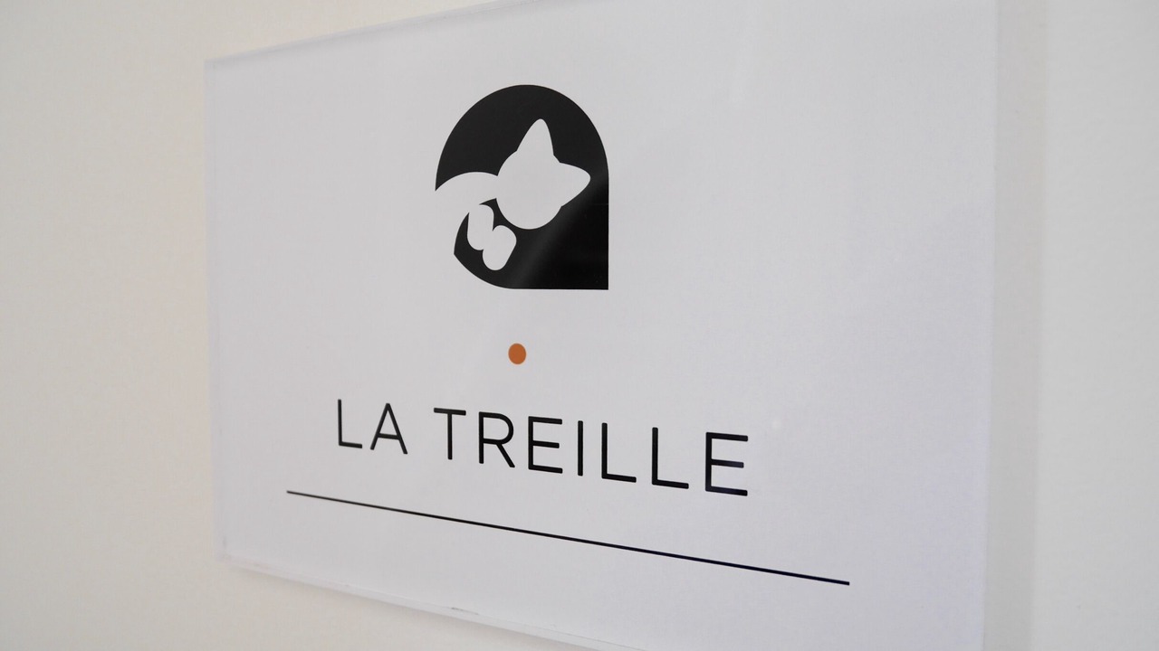 Photo of Others in Old Lille