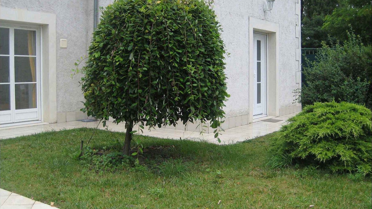 Photo of Outdoor in La Riche