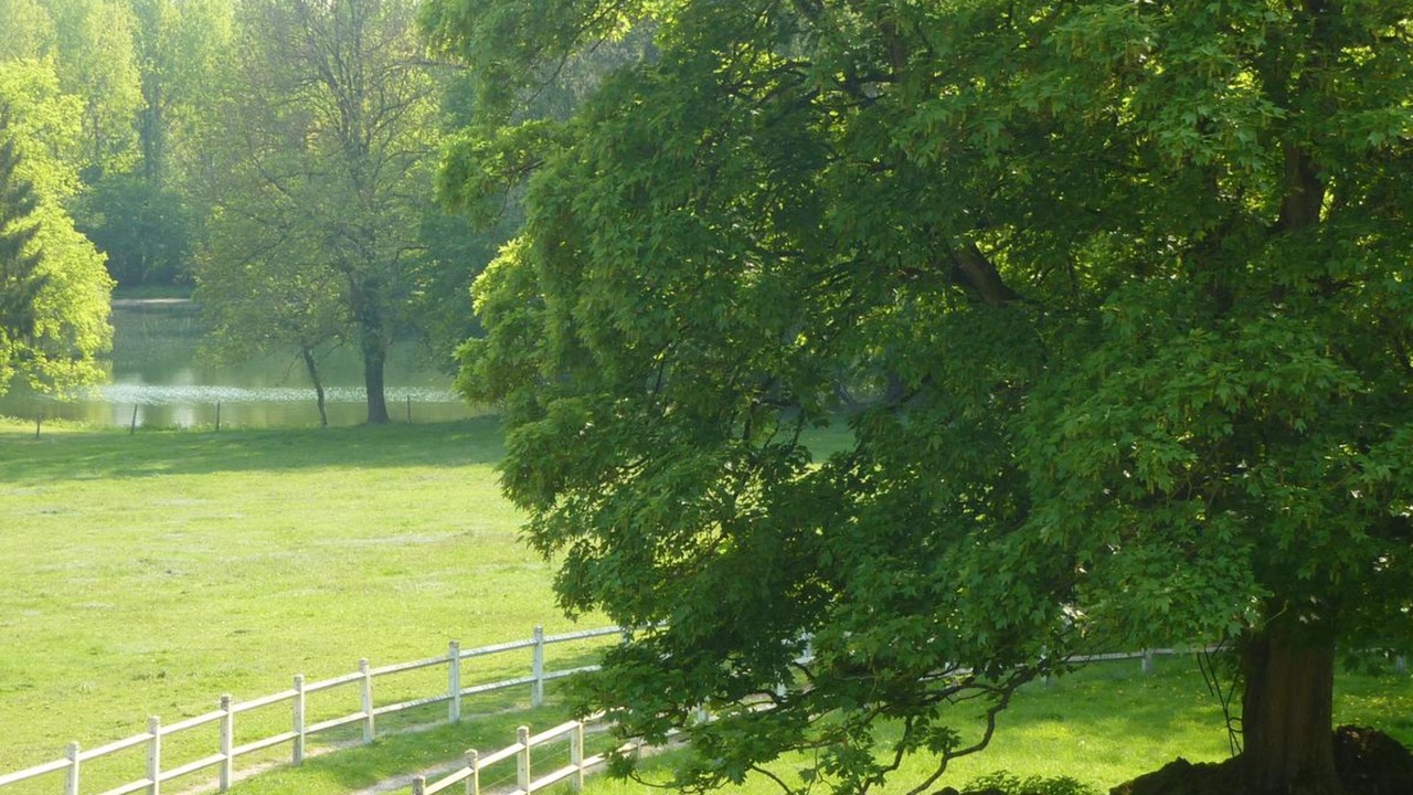 Photo of Outdoor in Maissemy