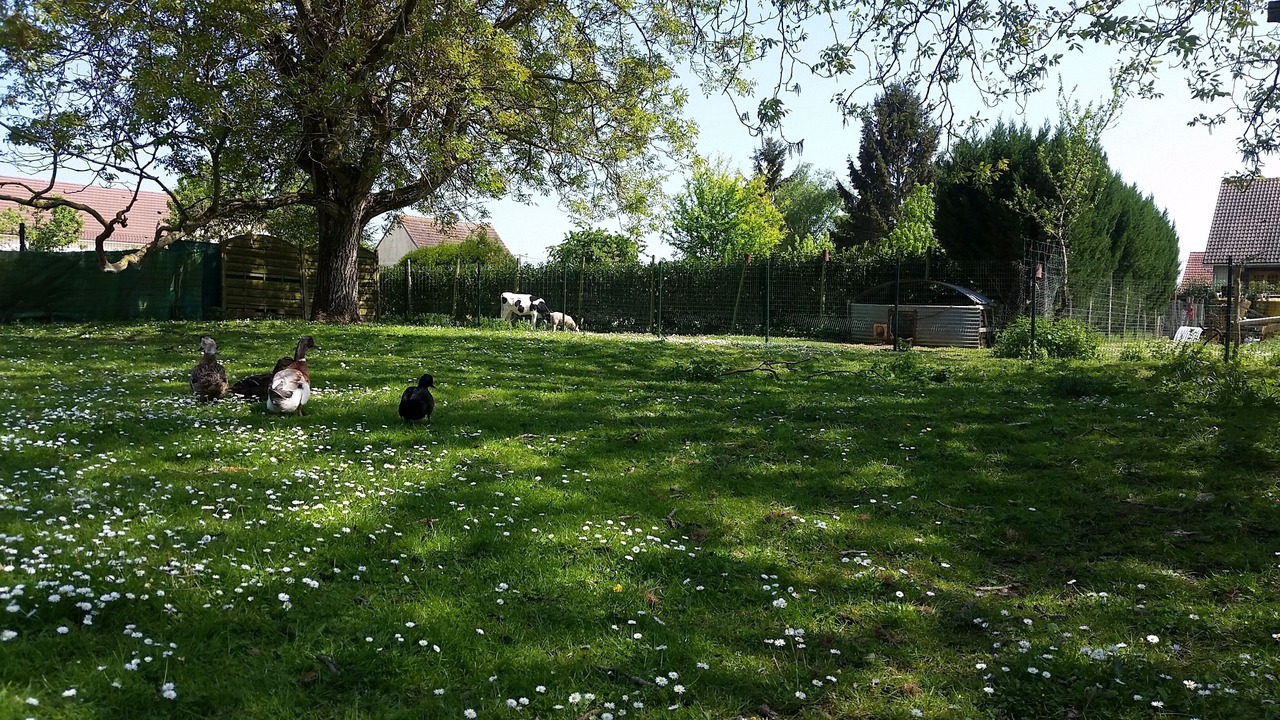 Photo of Outdoor in Evry