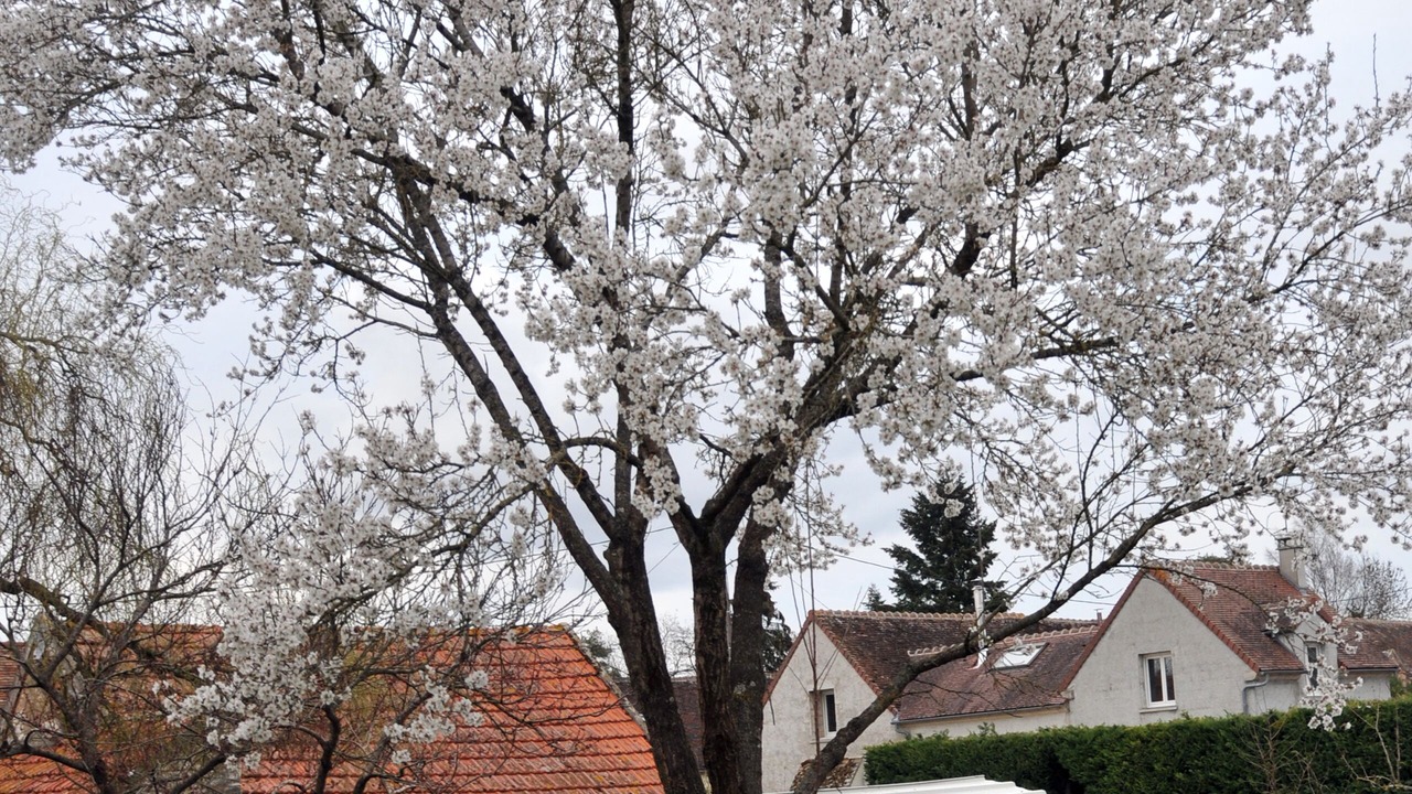 Photo of Outdoor in Evry